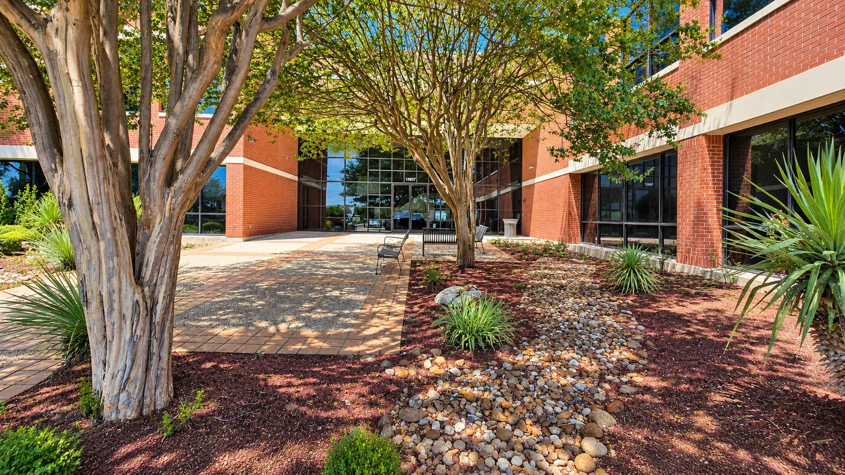 Sunlit courtyard with crape myrtles leading to the glass entrance at 14607 San Pedro Avenue